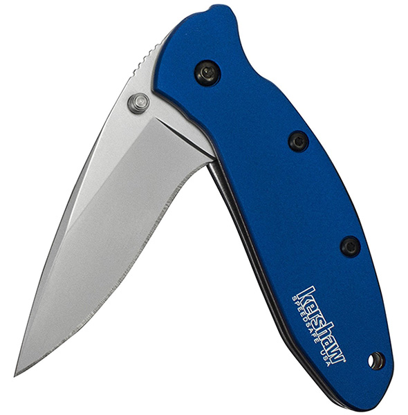 Deals of the Day Kershaw Scallion Knife (USA, 2527), Dewalt Drill